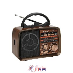 رادیو اسپیکر گولون مدل RX-BT031